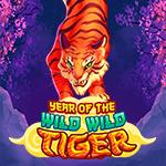 Year Of The Wild Wild Tiger